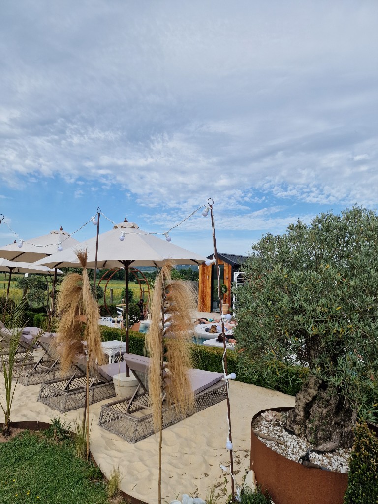 Red House pool area with umbrellas, lounge chairs and olive tree